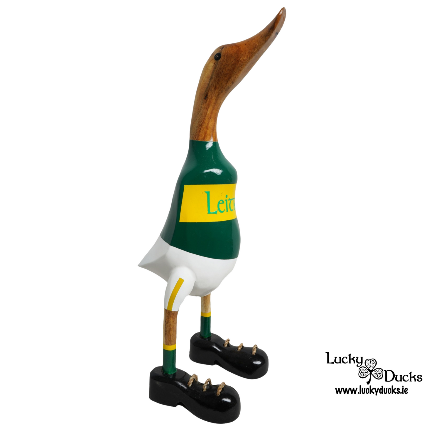 Leitrim Duck