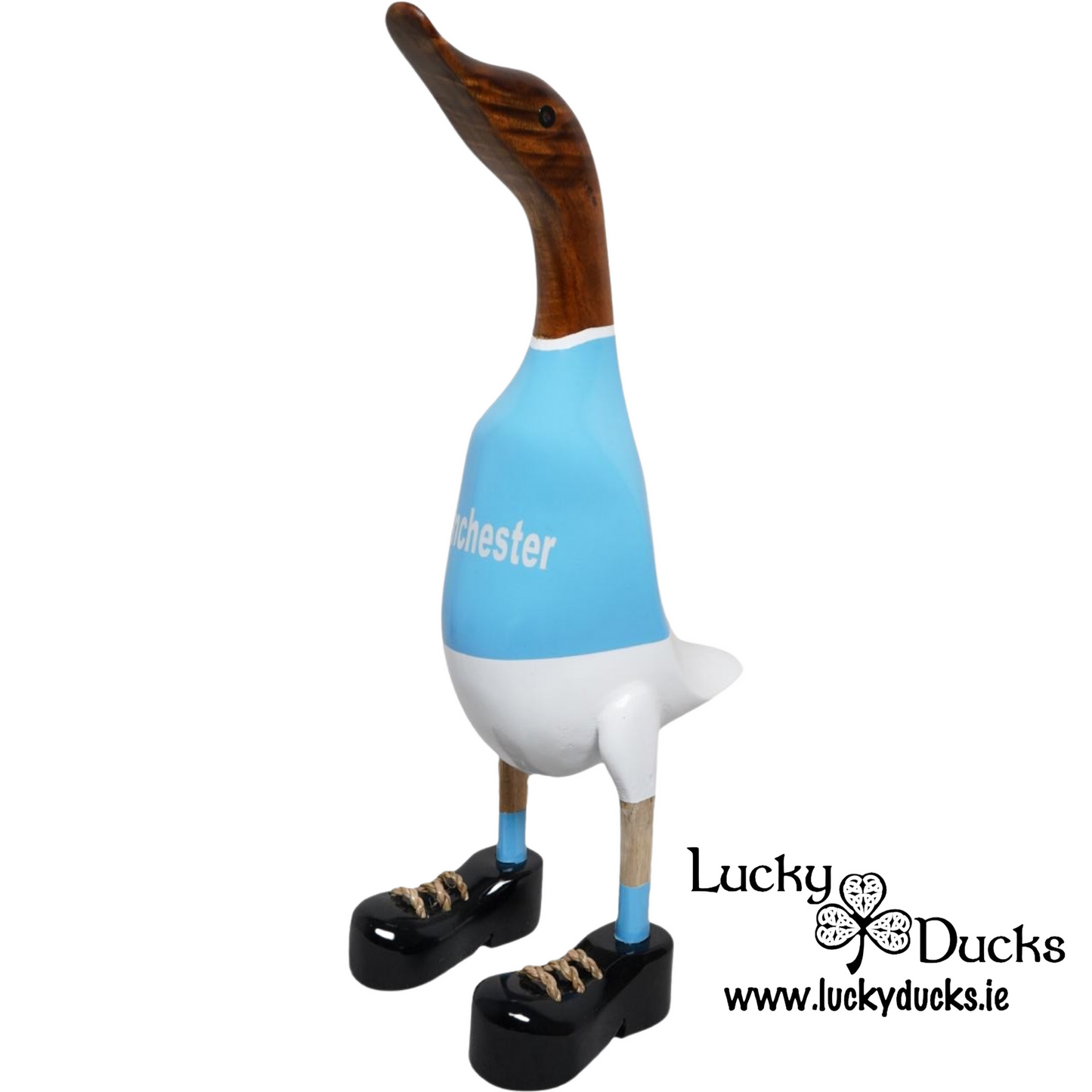 Manchester Blue Duck