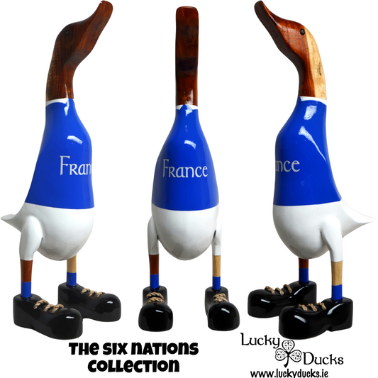 France Classic rugby duck