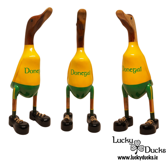 Donegal Duck