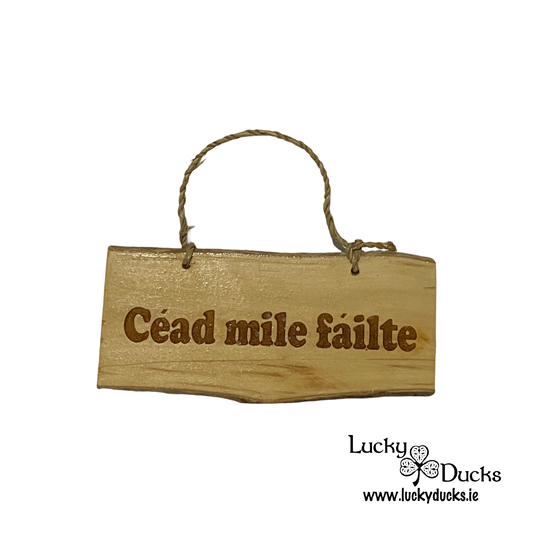 " Cead Mile Failte " Duck sign