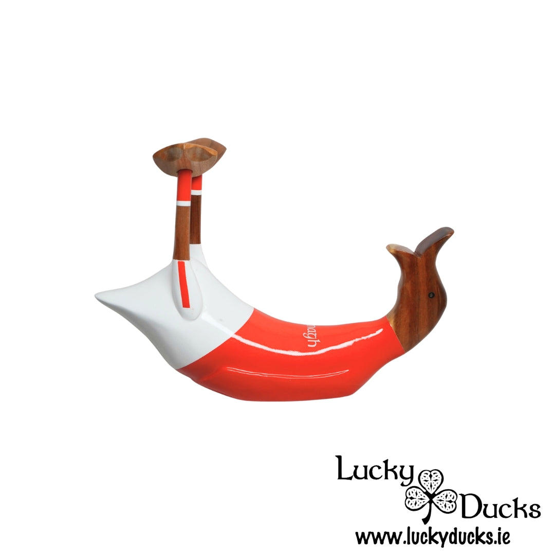 Armagh Champions Drunk Duck