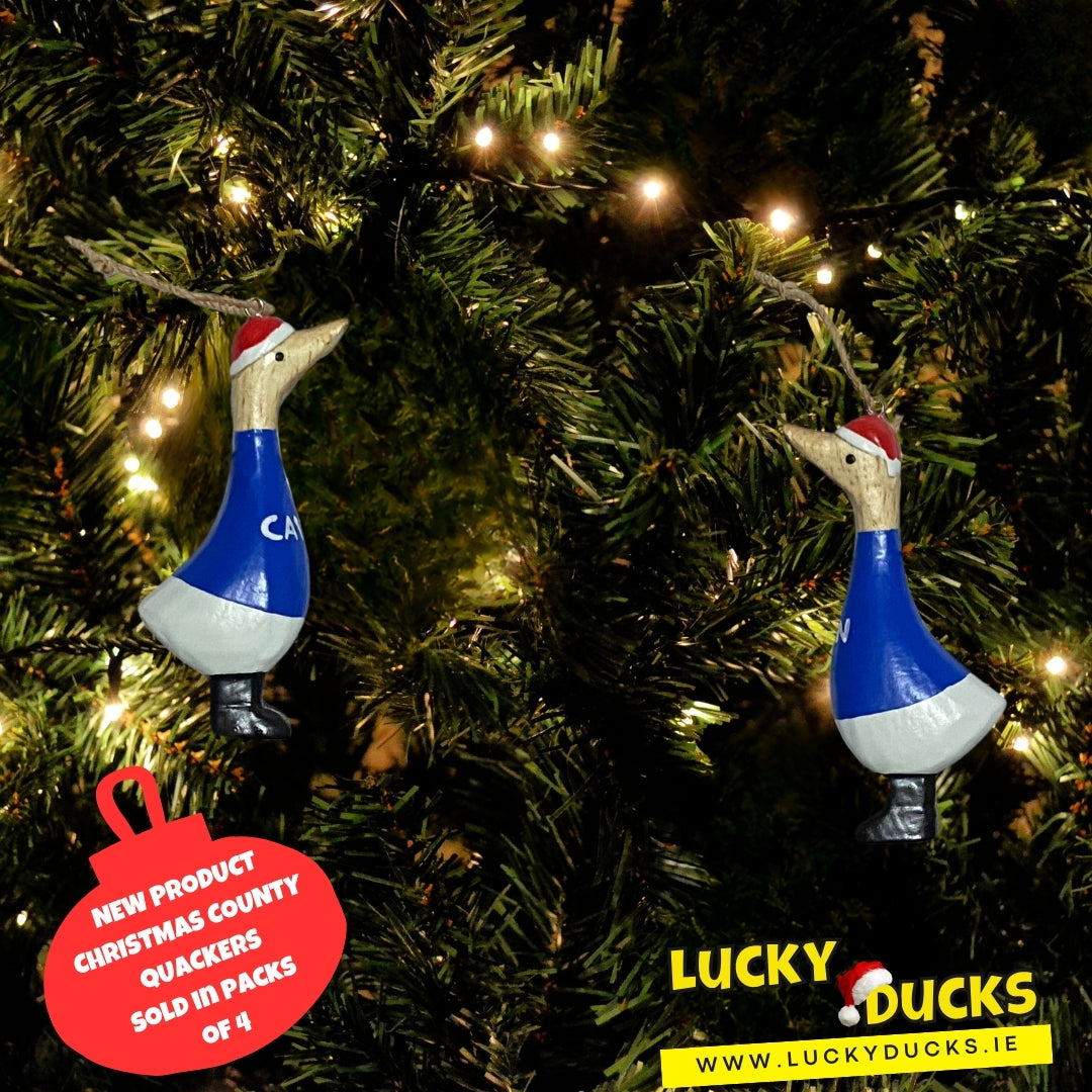 Cavan quacking Christmas set