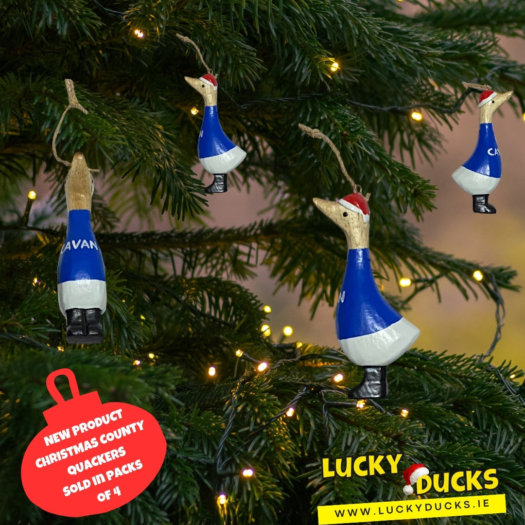 Cavan quacking Christmas set