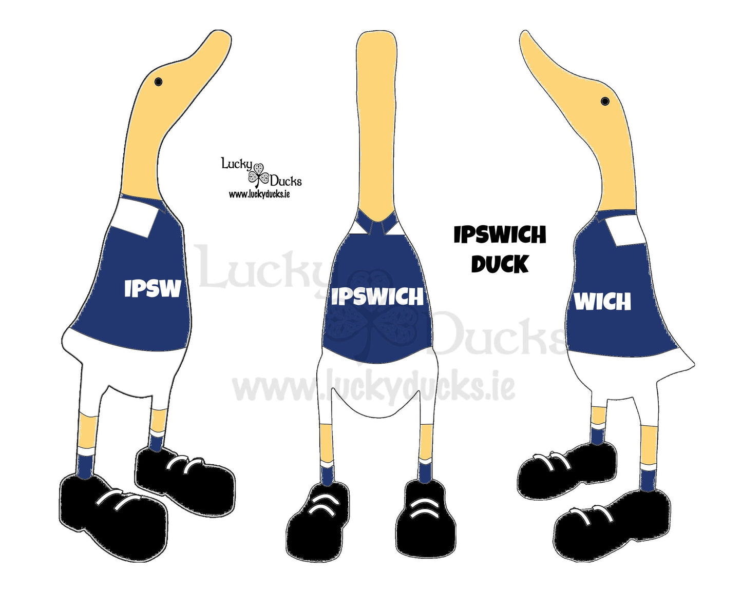 Ipswich Duck