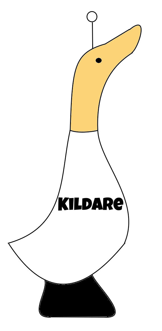 Kildare Quacking Key Ring