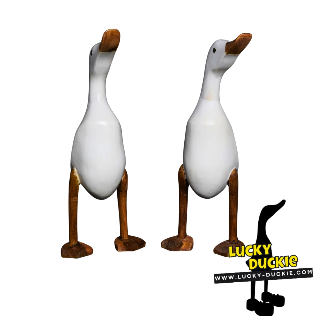 White Webbed Duck 30 cm