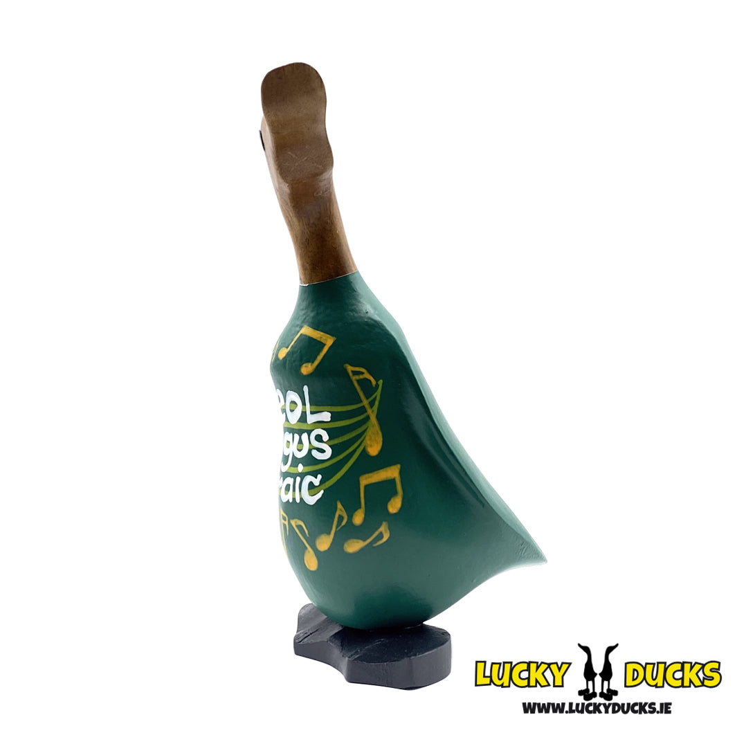 Ceol Agus Craic Duckling