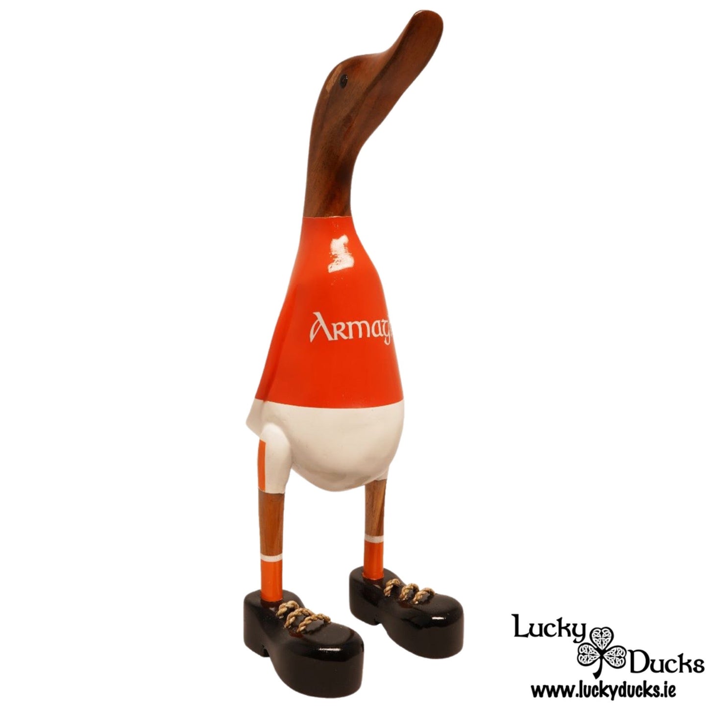 Armagh Duck