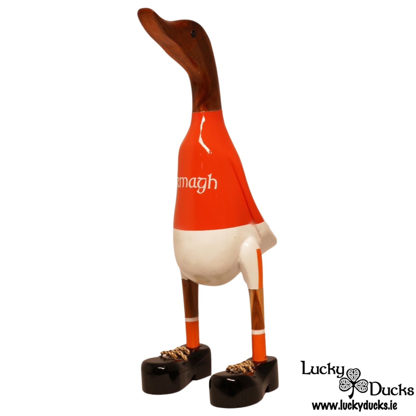 Armagh Duck