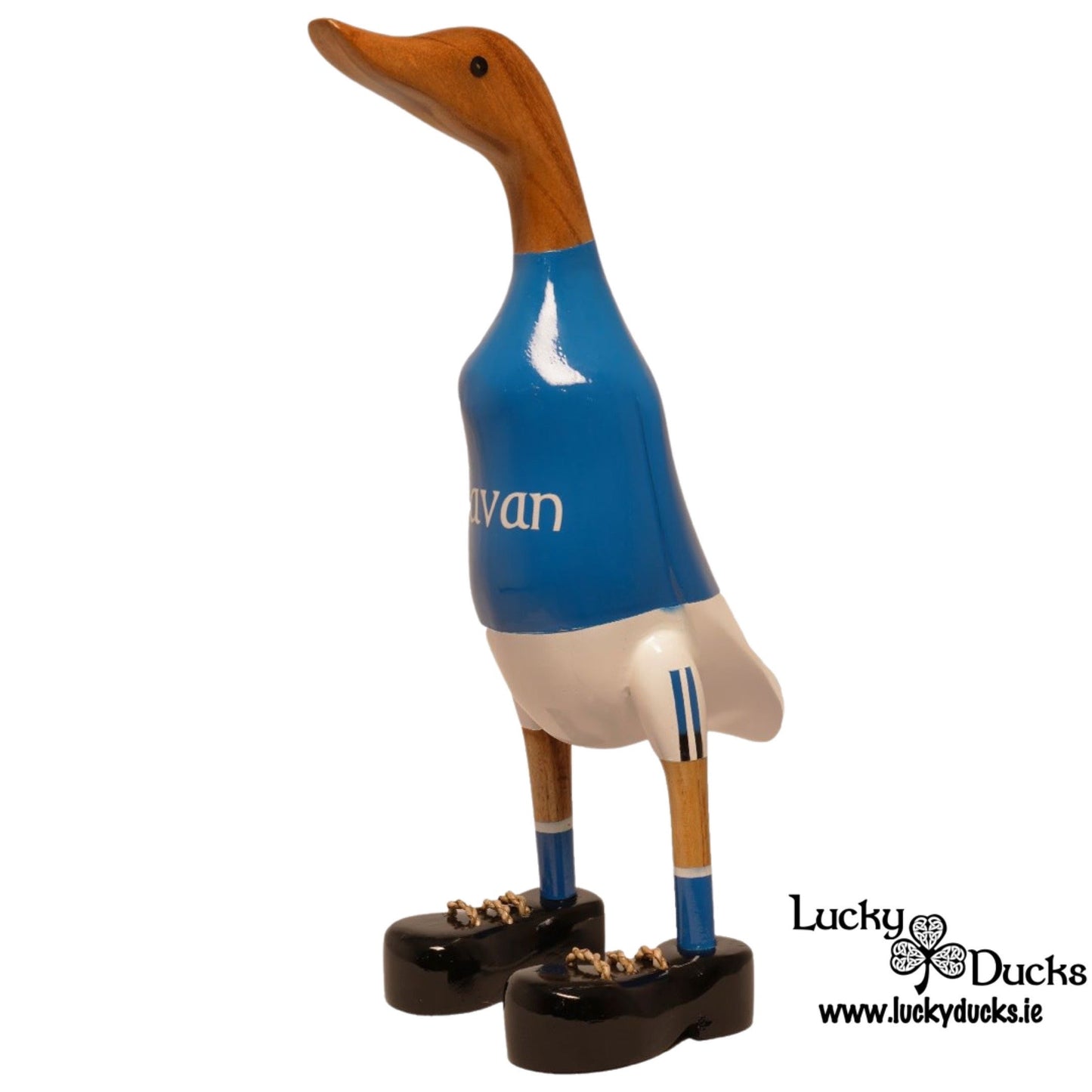 Cavan Duck