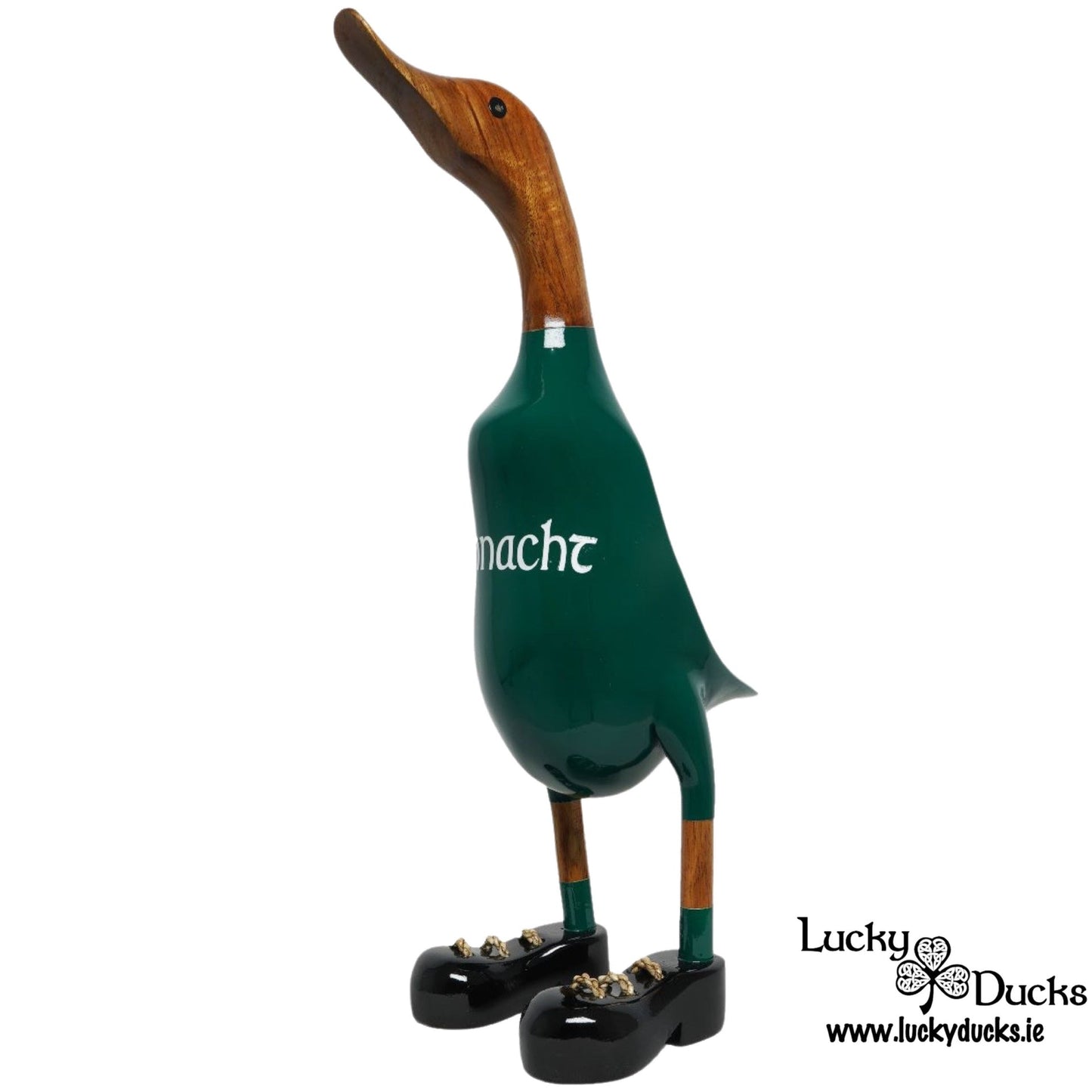 Connacht Duck
