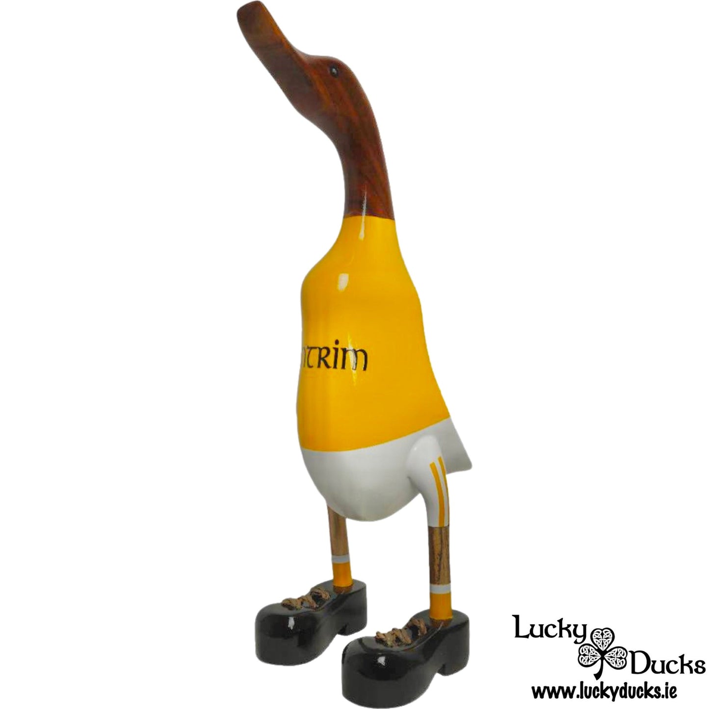 Antrim Duck