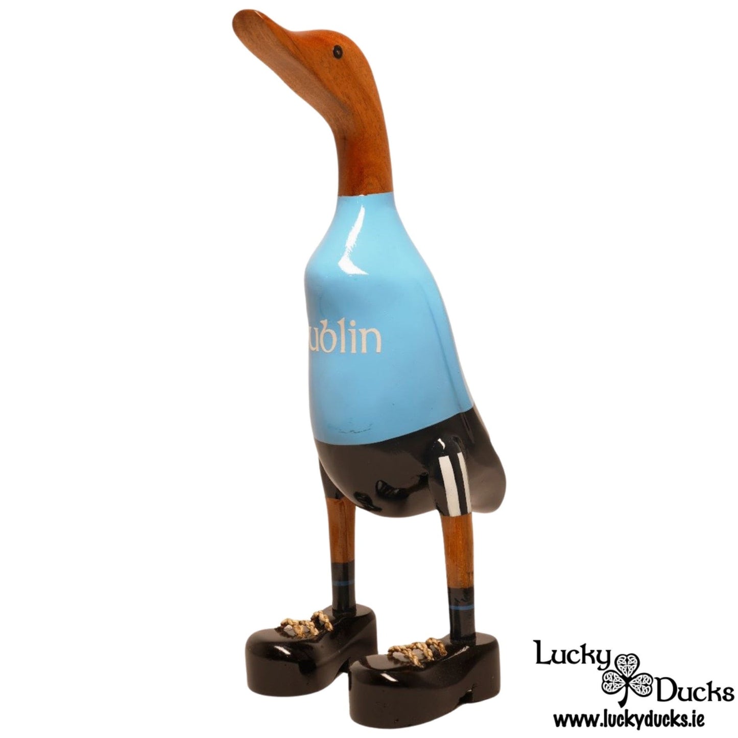 Dublin Duck