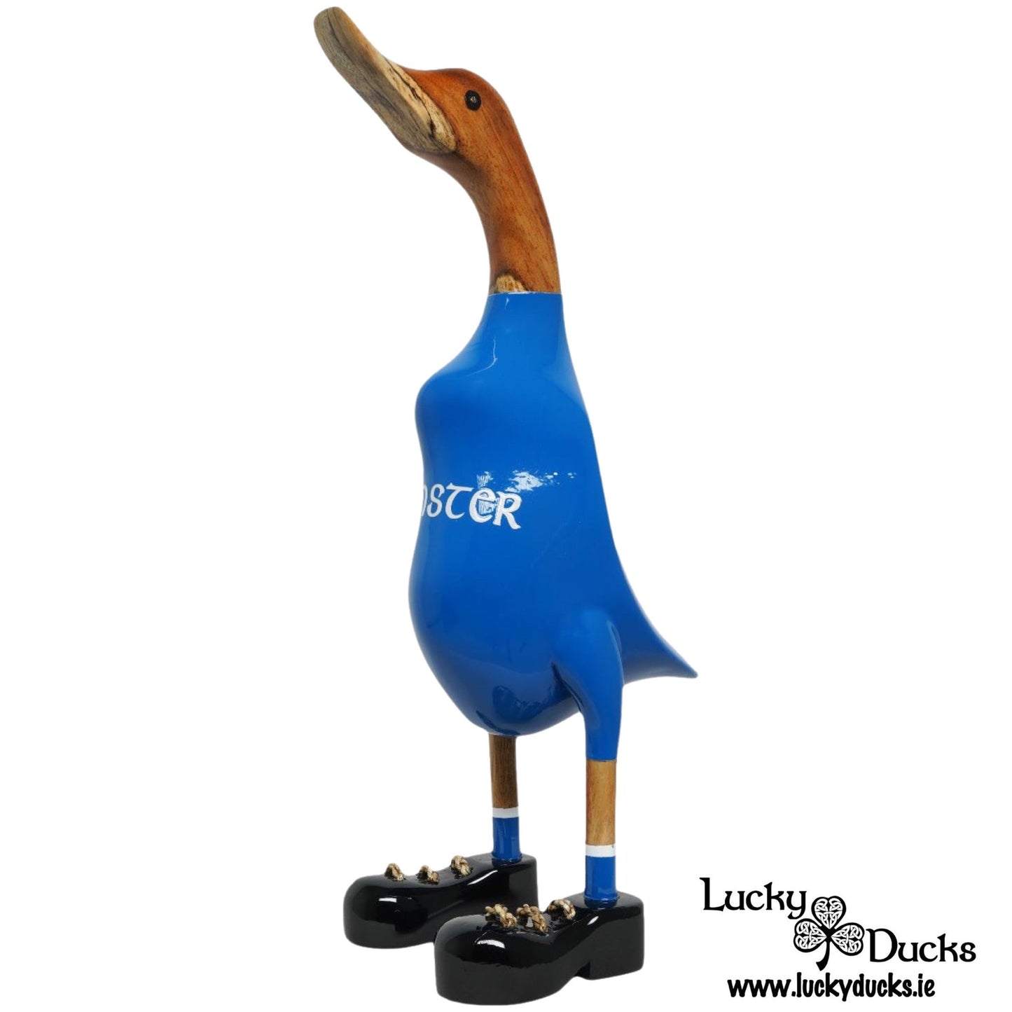 Leinster Duck