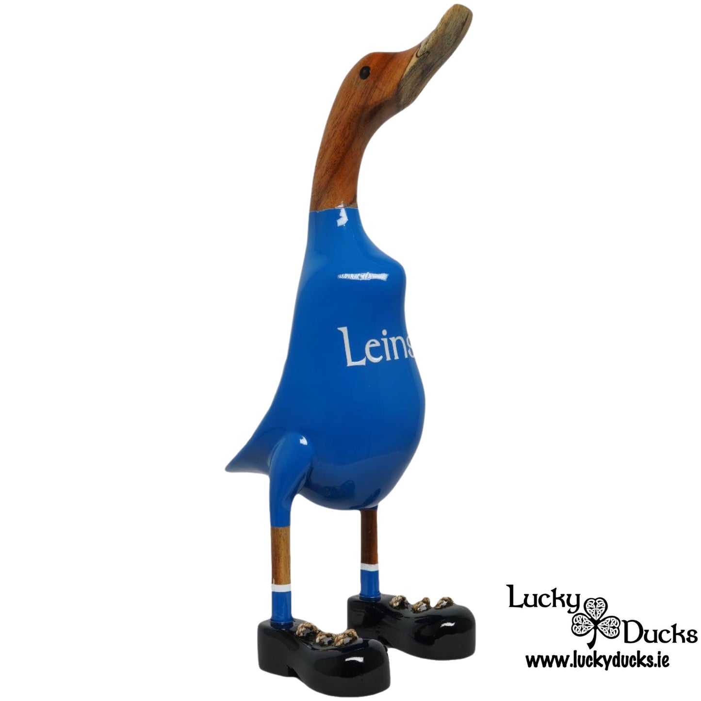 Leinster Duck