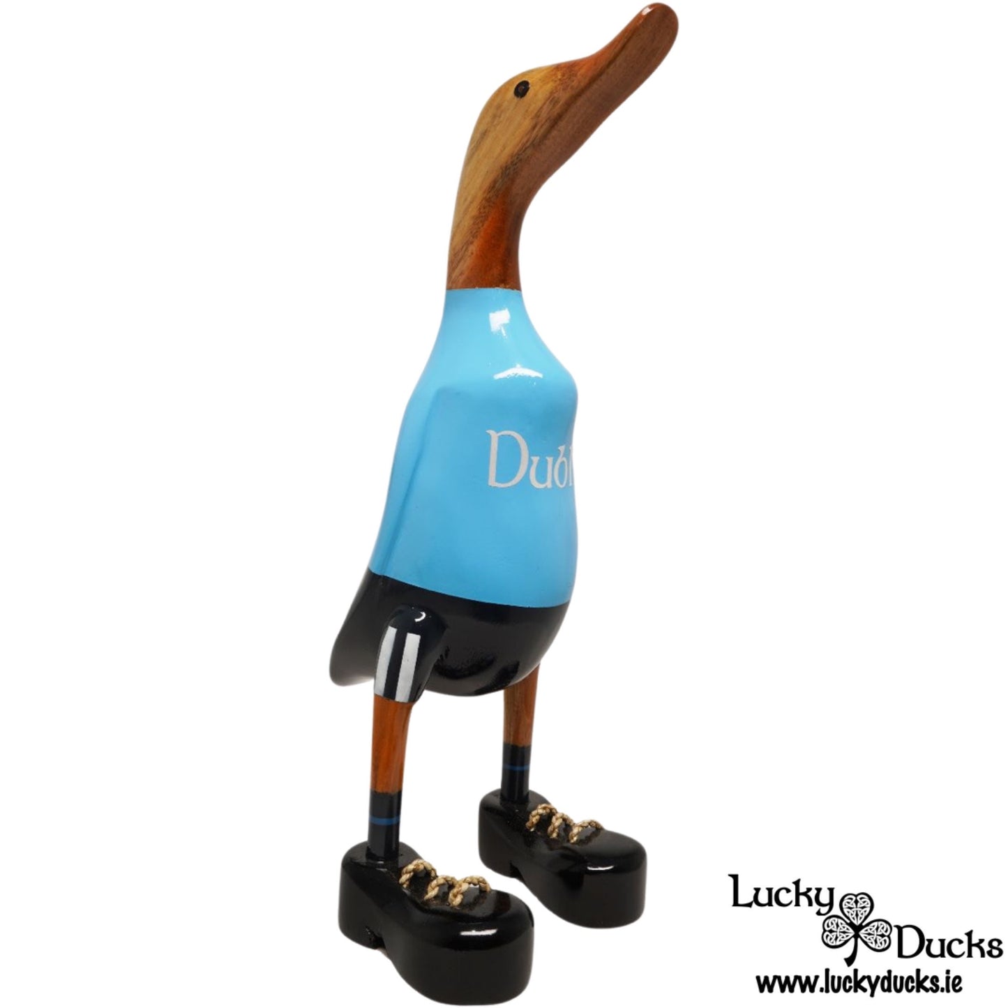 Dublin Duck