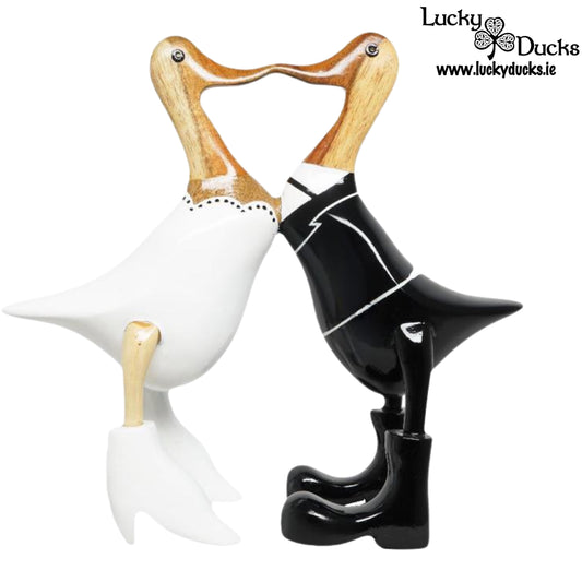 Mr & Mrs Kissing Duck