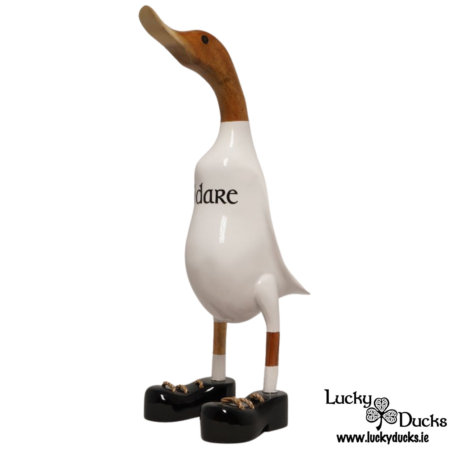 Kildare Duck