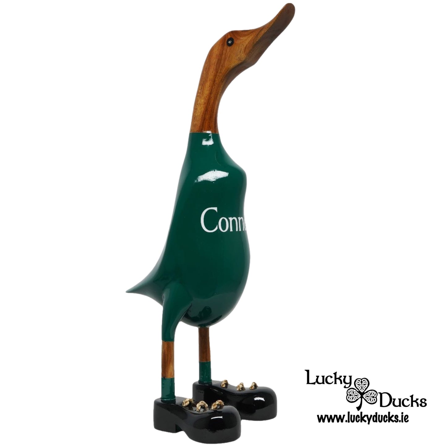 Connacht Duck