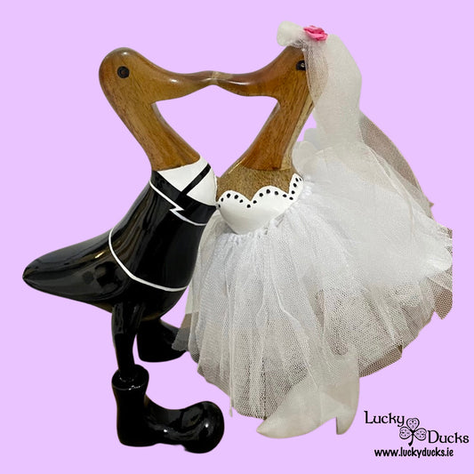 Mr & Mrs Kissing Duck with dress.