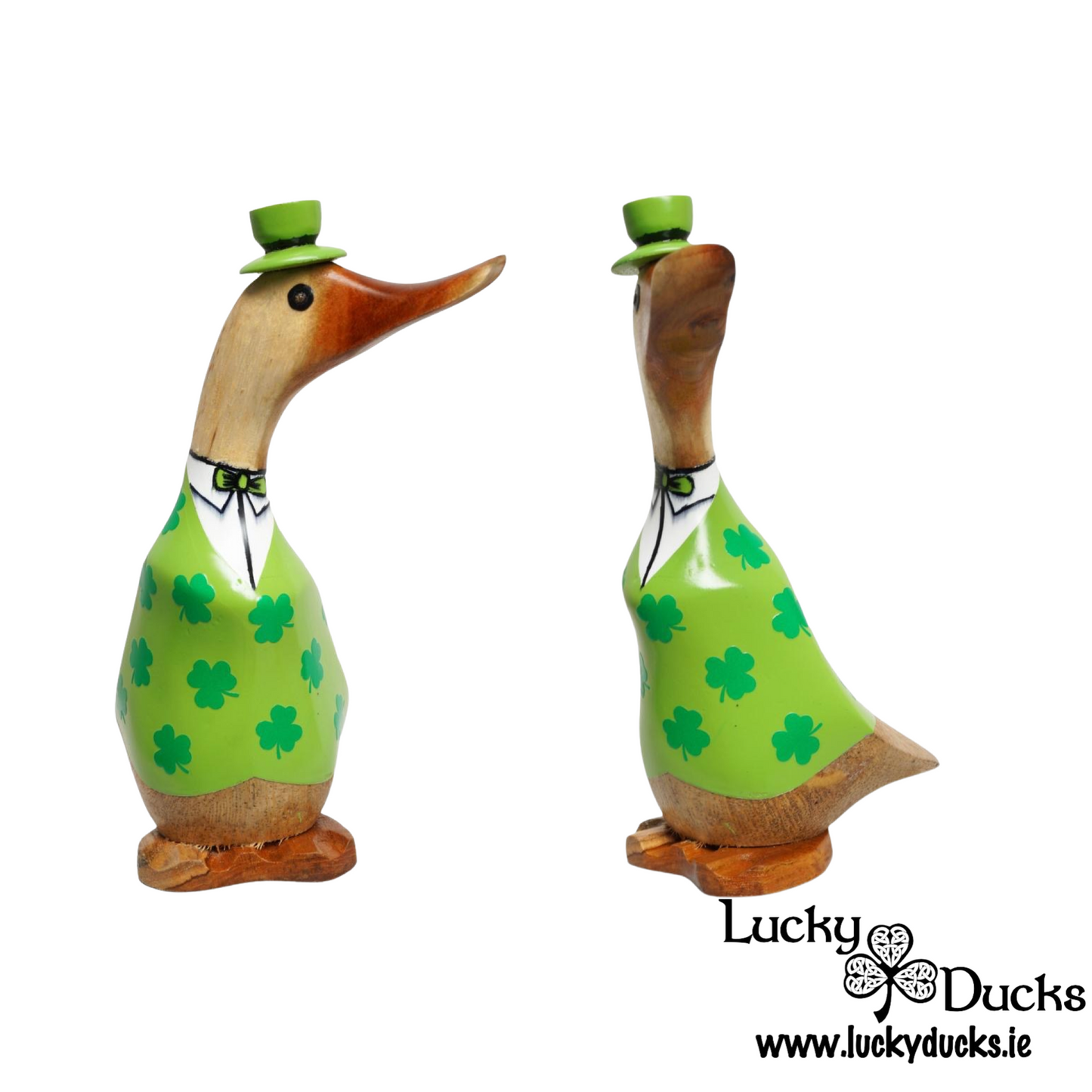 Leprechaun Duckling