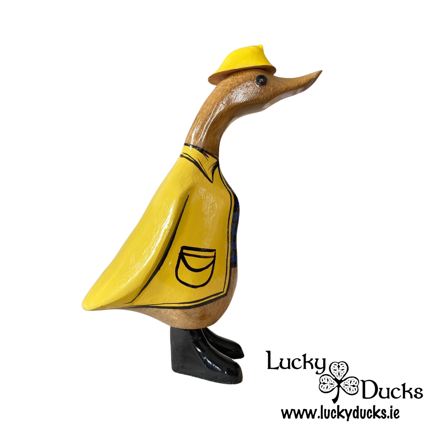 Fisherman Duckling
