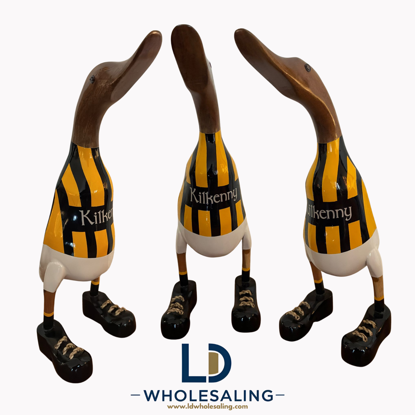 Kilkenny Duck