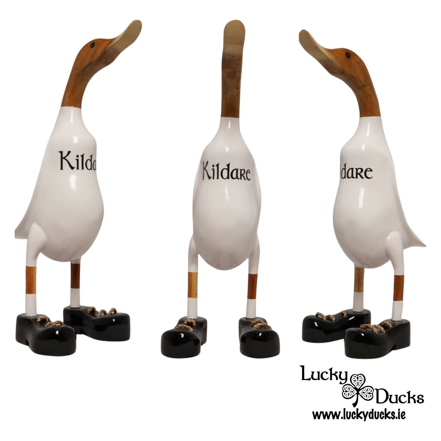 Kildare Duck