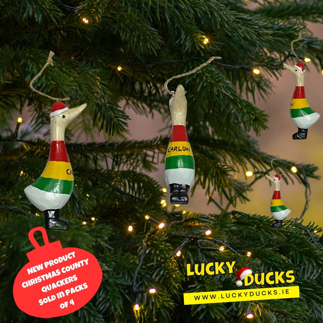 Carlow quacking Christmas set