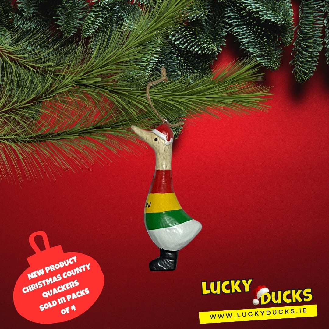 Carlow quacking Christmas set