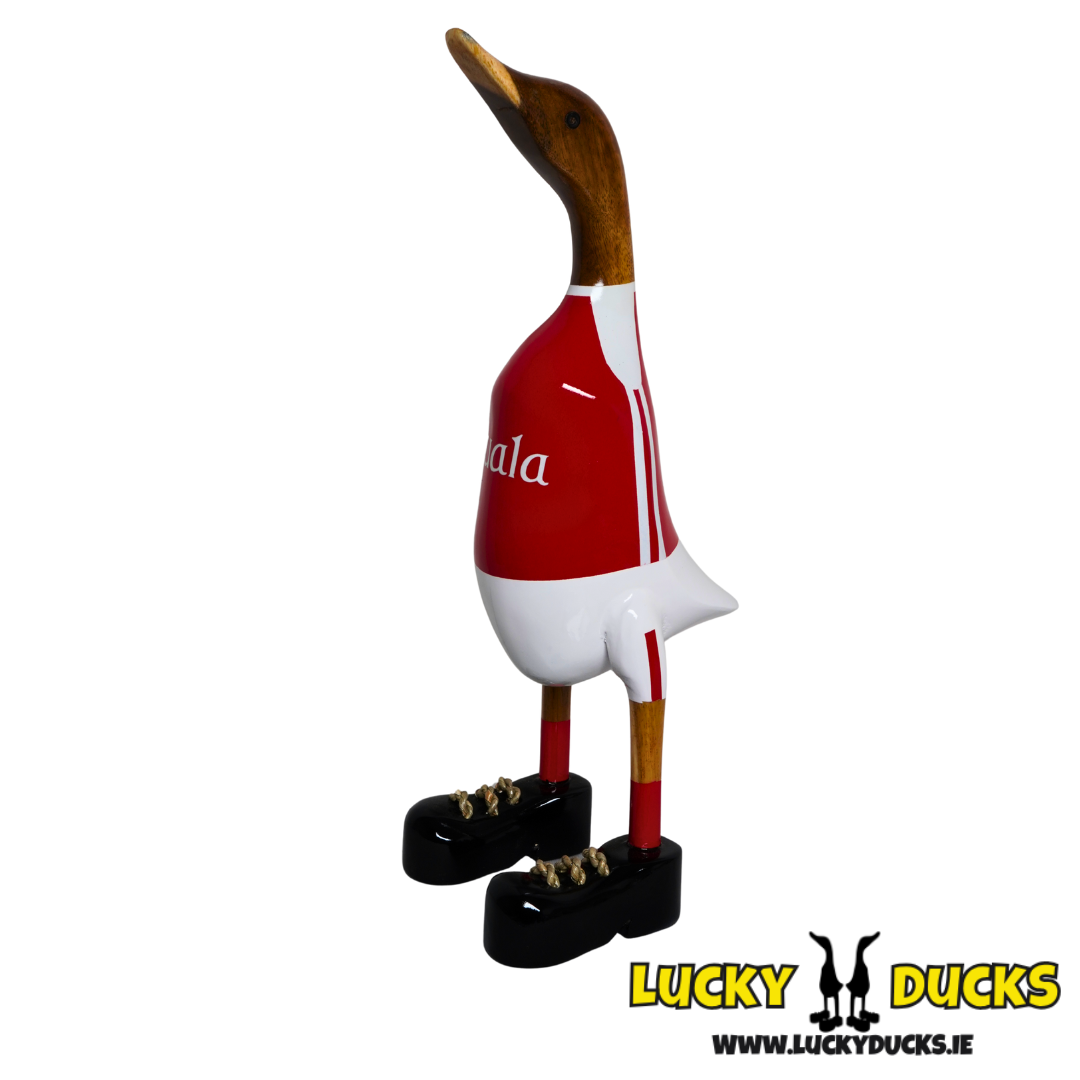 Cuala Duck