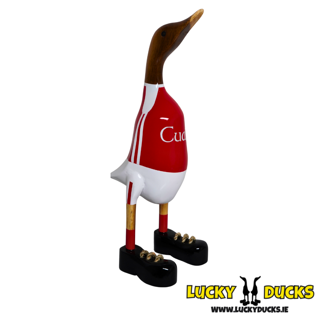 Cuala Duck