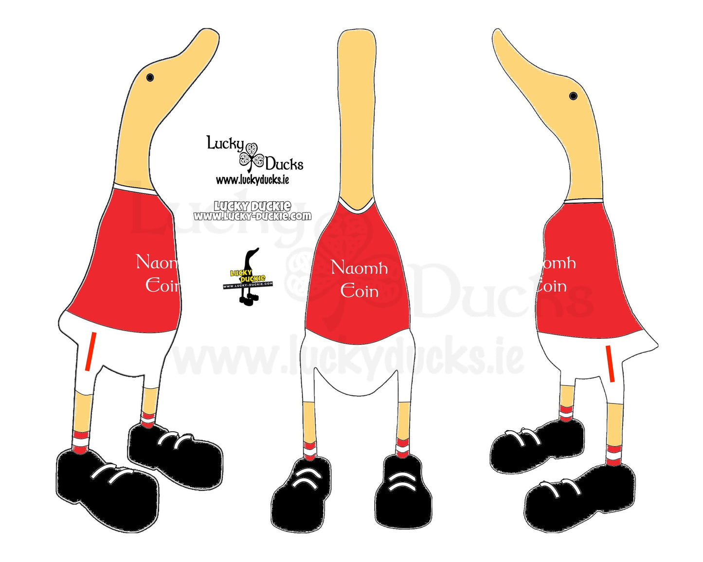 Naomh Eoin Duck