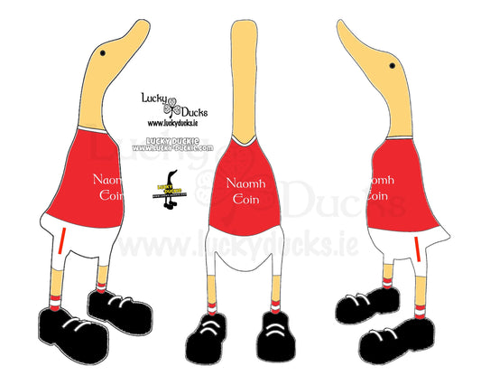 Naomh Eoin Duck