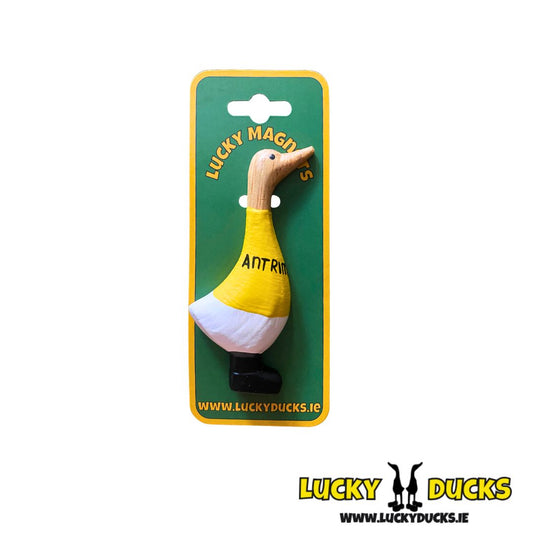 Antrim Quacking Magnet