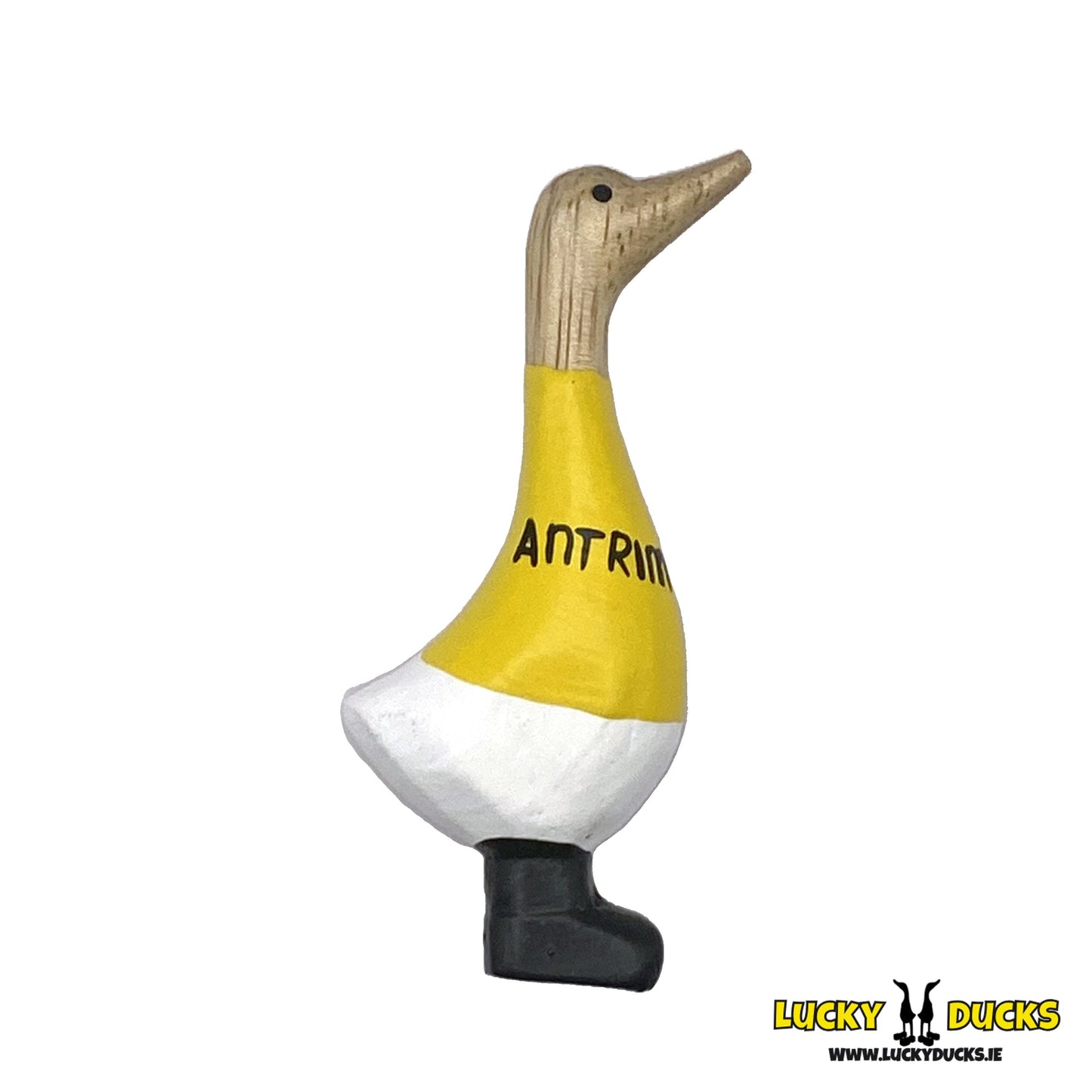 Antrim Quacking Magnet