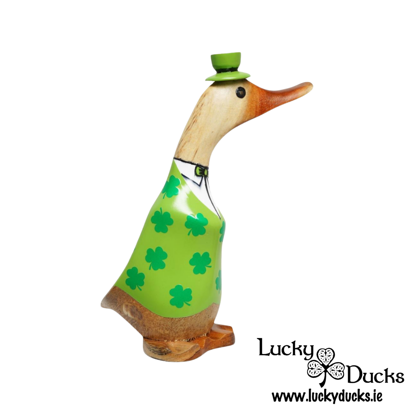 Leprechaun Duckling