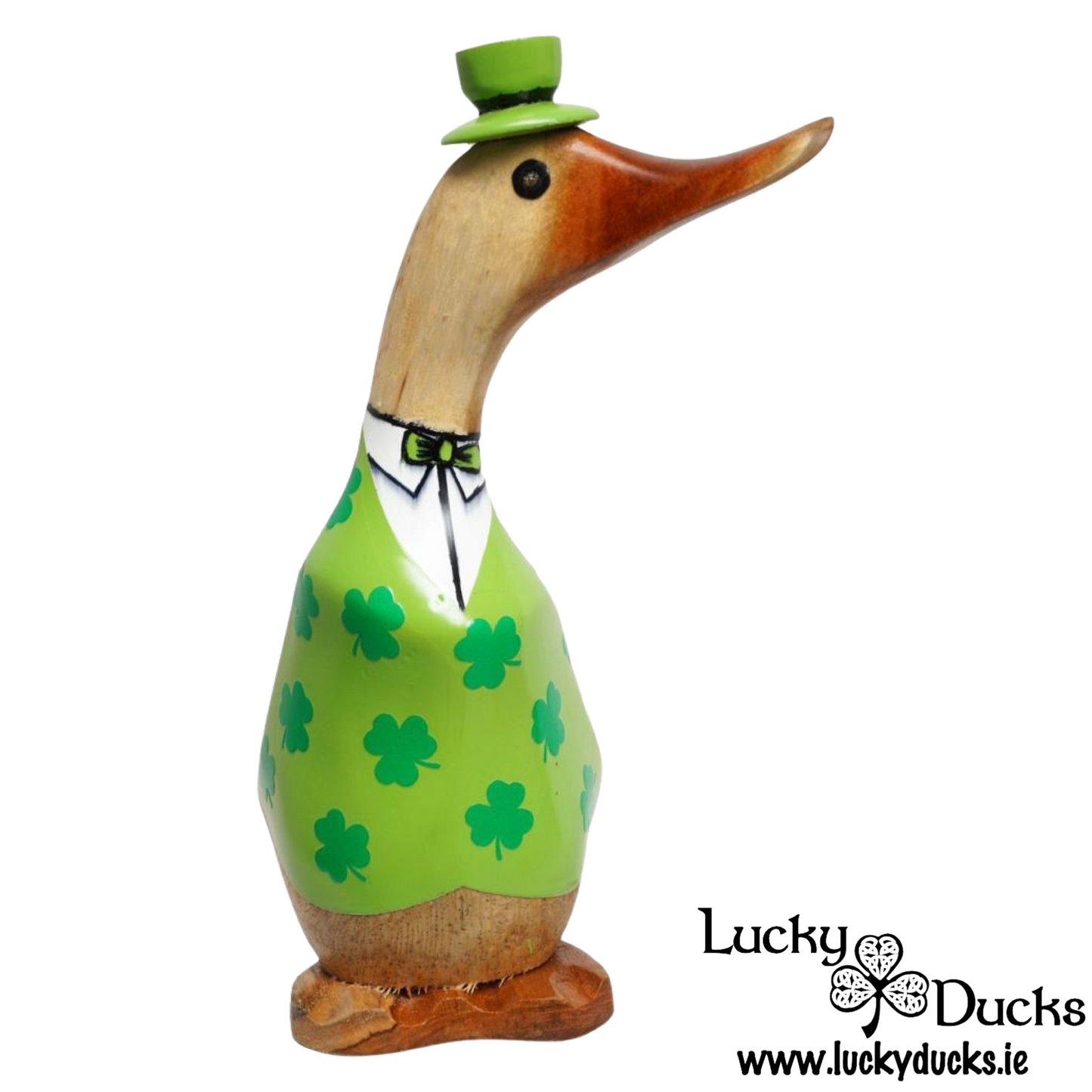 Leprechaun Duckling