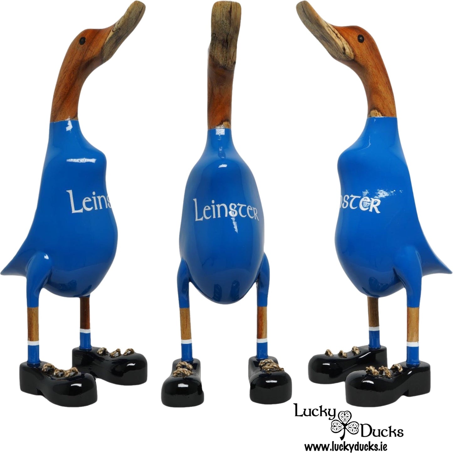 Leinster Duck