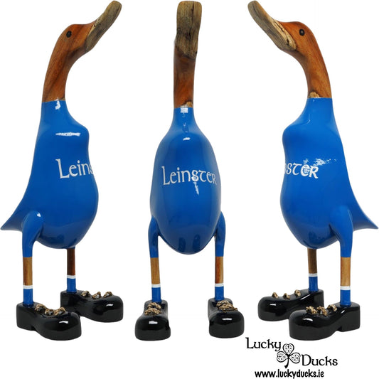 Leinster Duck
