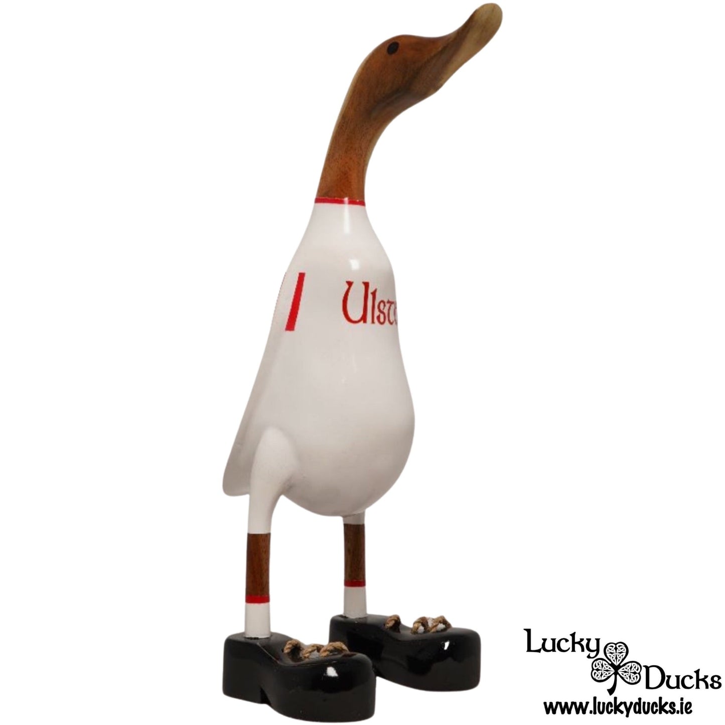 Ulster Duck