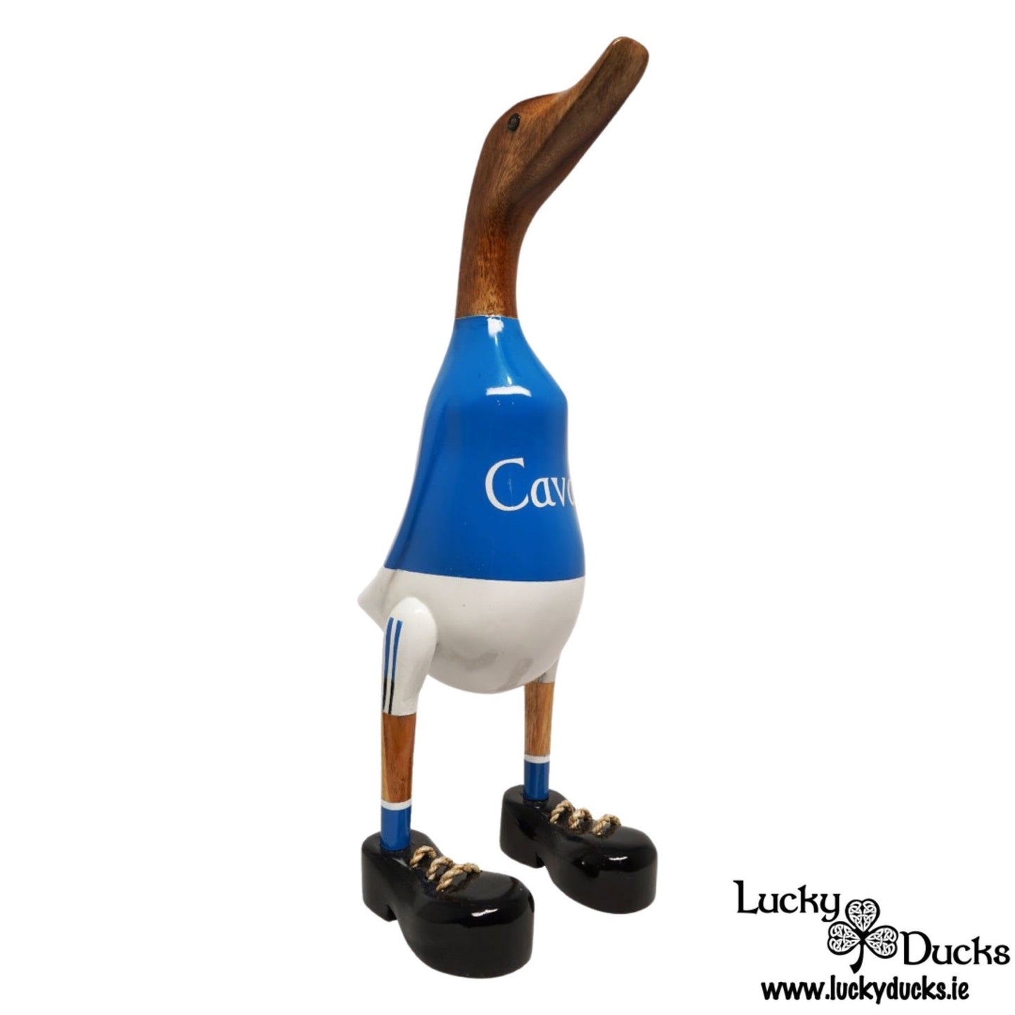 Cavan Duck