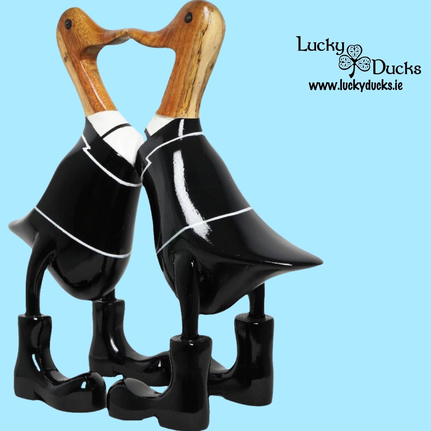 Mr & Mr Kissing Duck