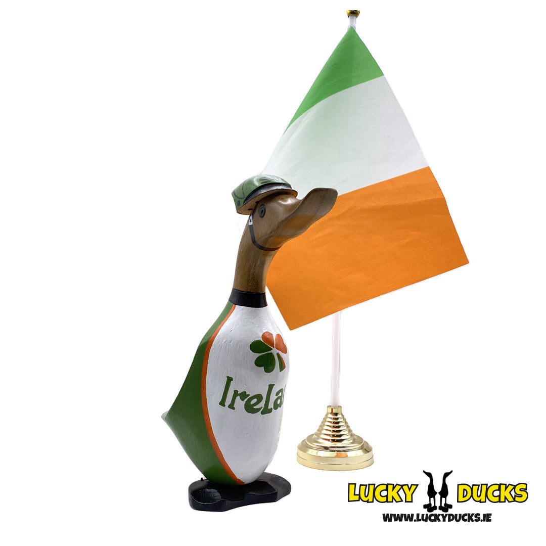 Irish cycling duckling