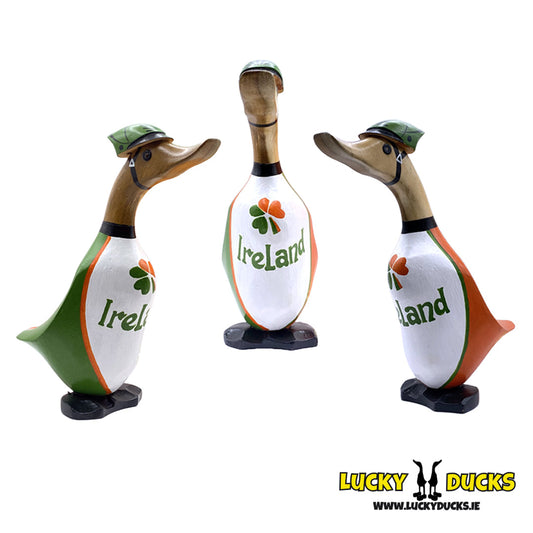 Irish cycling duckling