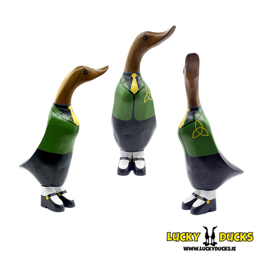 Irish Dancing Duckling Male