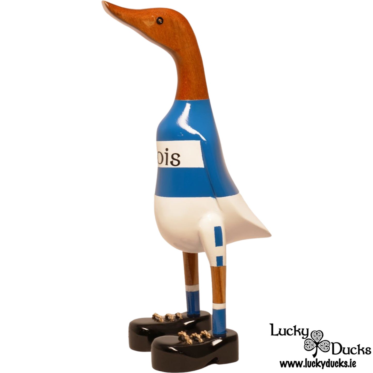 Laois Duck