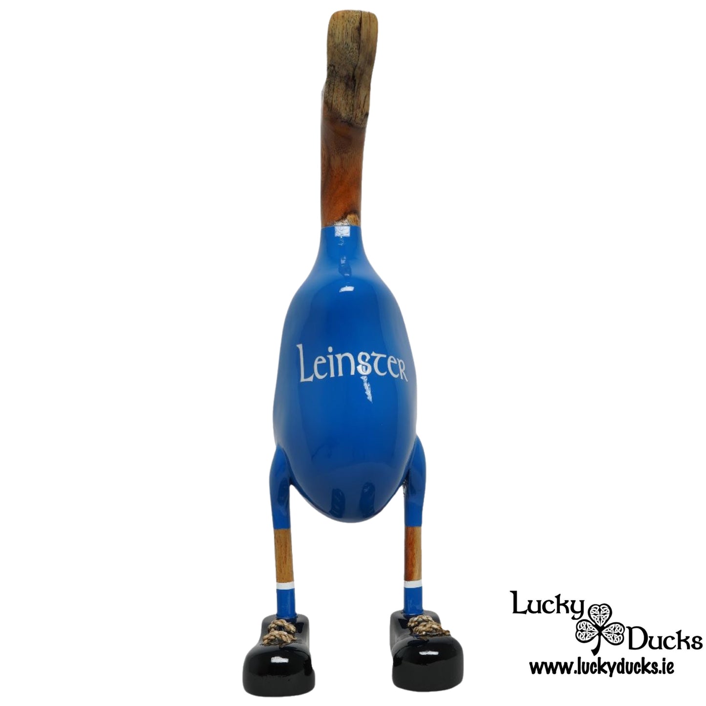 Leinster Duck